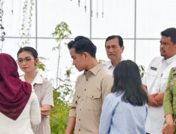 Wakil Bupati Tapteng, Hadiri Kunjungan Wakil Presiden Republik Indonesia Di Kabupaten Humbang Hasundutan