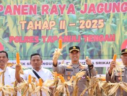 Polres Tapanuli Tengah Panen Raya Jagung Tahap 2 di Wilayah Sibabangun