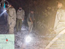 Tim BPBD dan Damkar Satpol PP Tapanuli Tengah Berhasil Padamkan Kebakaran Lahan Di Kolang