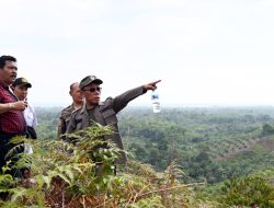 Bupati Tapteng, Hentikan Penanaman Sawit Di Kawasan Hutan Produksi Terbatas