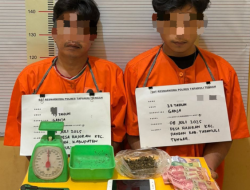 Sat Narkoba Polres Tapteng Amankan Dua Pengedar Ganja di Hajoran