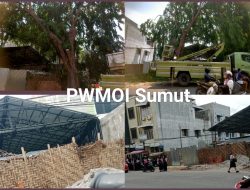 Gawat Kali Bah!! Penebangan Pohon untuk ‘Kepentingan Pribadi’ Pemilik cafe Jl Bilal Melanggar Hukum diduga Dibiarkan