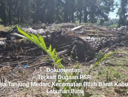 Dugaan KKN di Program Peremajaan Sawit Rakyat Koperasi Sahata Maju Bersama Disorot