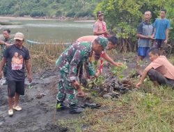 Babinsa Desa Wates, Pramuka Dan Warga Bersatu Lestarikan Alam Dengan Menanam Mangrove