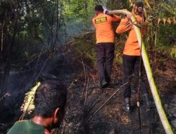 BPBD Tapteng Bersama Masyarakat Berhasil Padamkan Karhutla di Kelurahan Tapian Nauli