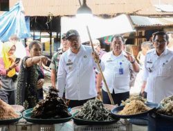 Peran TOPPIS, Langkah Nyata Tekan Harga Cabai dan Stabilkan Inflasi