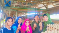 Kadis Ketahanan Pangan Tapteng Dampingi Direktur Stabilitasi Kunjungi Peternak Layer Dan Food Estate