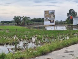 Lahan Tanaman Berubah Fungsi Jadi Bisnis Perumahan, Atensi Polda-Su Dugaan Salah gunakan Wewenang Dinas Cipta Karya dan Tata Ruang Deli Serdang