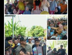 Bupati & Wabup Tinjau Banjir di Hamparan Perak dan Salurkan Bantuan