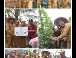 Wabup Deli Serdang Hadiri Panen Timun Bersama Gabungan Gapoktan Makmur Sejahtera, Desa Sunggal Kanan, Wabup: Deli Serdang Sehat, Petaninya Sejahtera