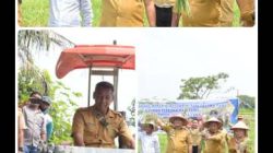 Alasan Petani Desa Sidodadi Ramunia Memilih Tanam Bawang Merah Karena Menguntungkan