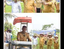 Alasan Petani Desa Sidodadi Ramunia Memilih Tanam Bawang Merah Karena Menguntungkan