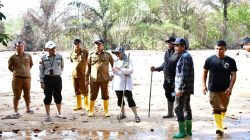 Wakil Bupati Tapteng bersama Tenaga Ahli Menteri Pertanian Tinjau Lokasi Groundbreaking Rehabilitasi Lahan Sawah