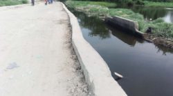 Proyek Pembetonan Talud Diduga Dikerjakan Asal Jadi dan Pelaksanaannya Kurang Profesional