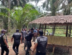 Polres Binjai Kembali Grebek Dan Musnahkan Barak Narkoba Di Kecamatan Selesai
