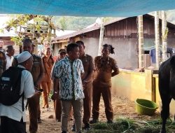 Bupati dan Wakil Bupati Serahkan Sapi Kurban Bantuan Presiden di Hutanabolon