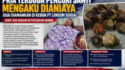 Pria Terduga Pencuri Sawit Mengaku Dianiaya Usai Diamankan di Kebun PT Lonsum Sergai, Sebut Ada Dugaan Keterlibatan Oknum