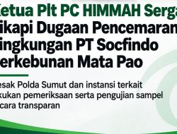 Ketua Plt PC HIMMAH Sergai Sikapi Dugaan Pencemaran Lingkungan PT Socfindo Perkebunan Mata Pao